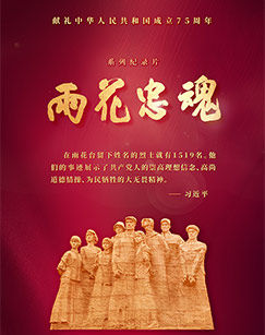 雨花忠魂封面图