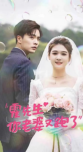 霍先生你老婆又跑了封面图