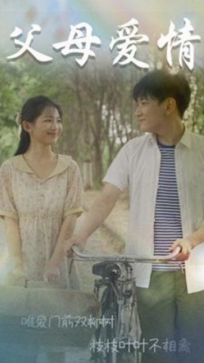 父母爱情$不知人间有白头封面图