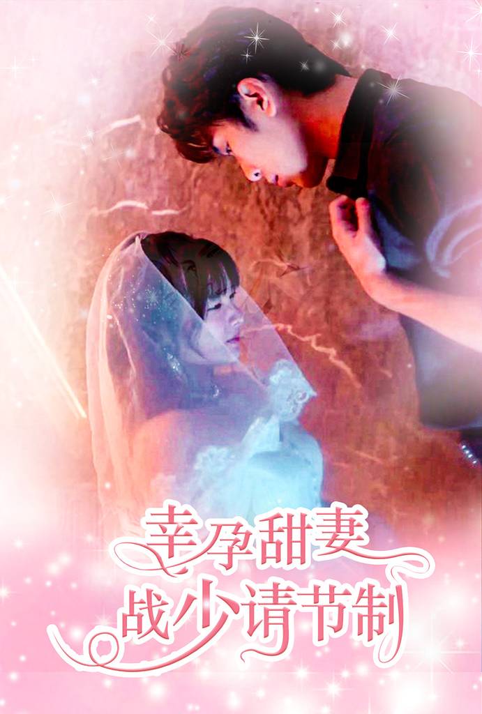 幸孕甜妻战少请节制封面图