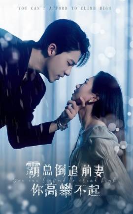 霸总倒追前妻你高攀不起封面图