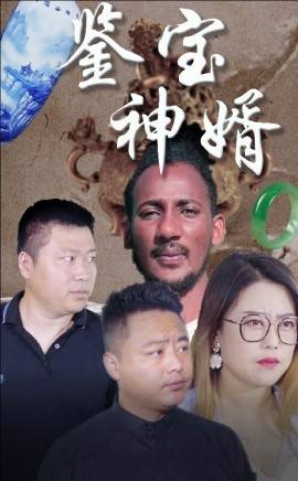 鉴宝神婿封面图