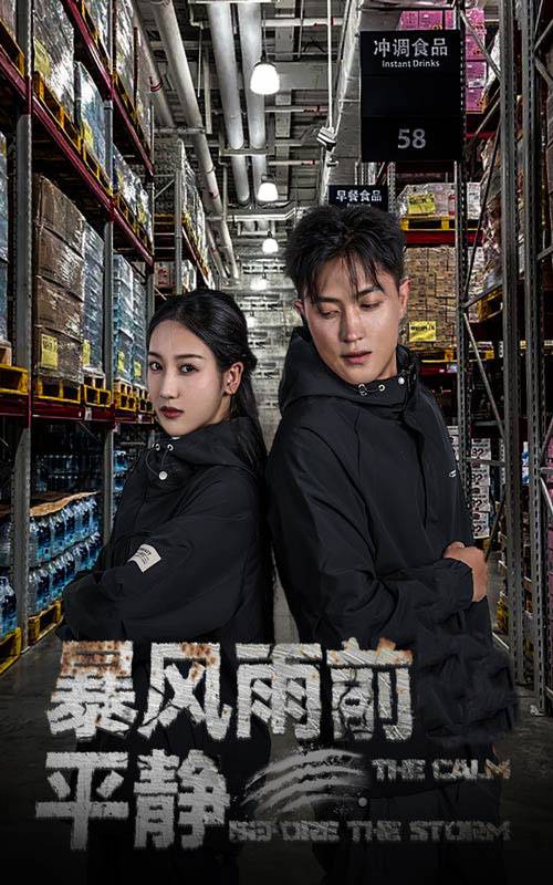 暴风雨前的平静封面图