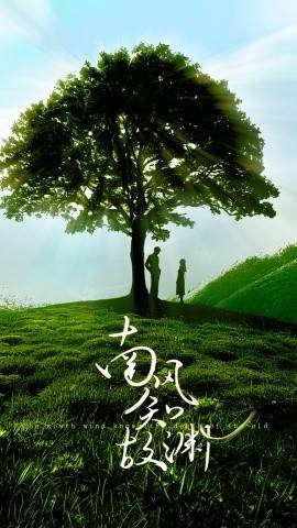 南风知故渊&amp;amp;amp;皎皎南风星封面图