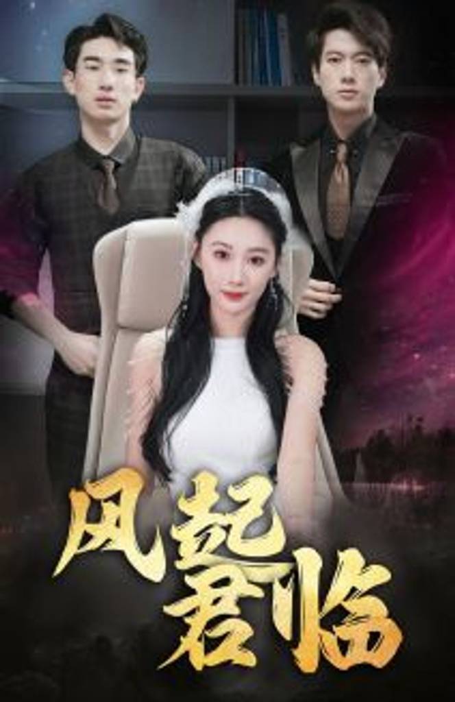 风起君临封面图