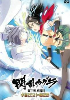 闪乱神乐少女们的选择满是泳装的前夜祭封面图