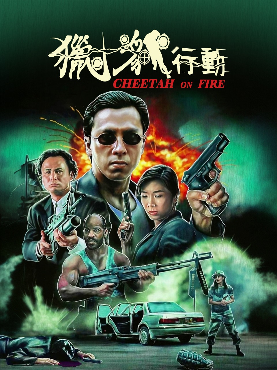 猎豹行动封面图