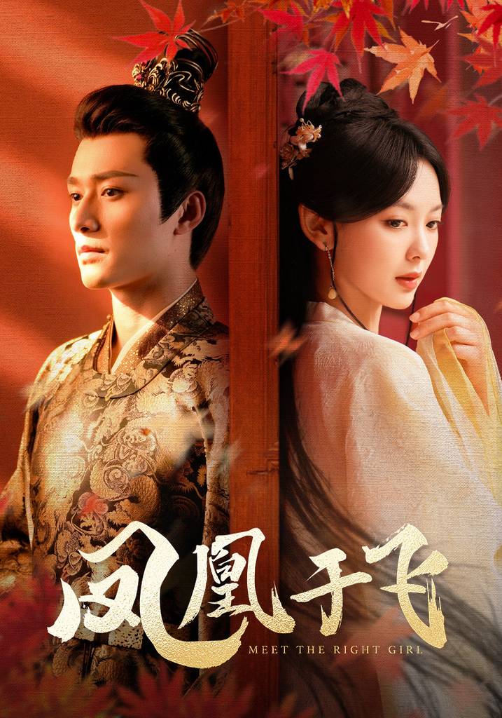 凤凰于飞封面图