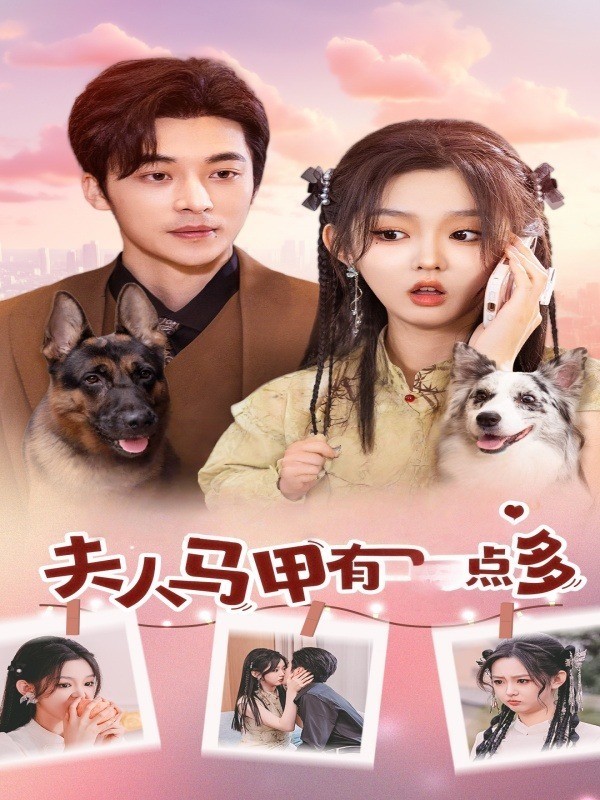 夫人马甲有点多封面图