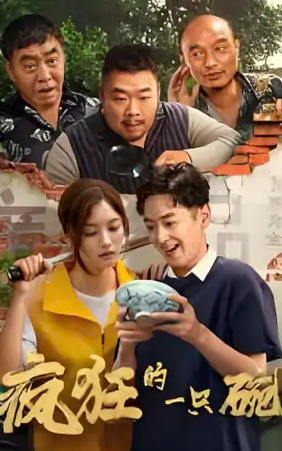 疯狂的一只碗封面图