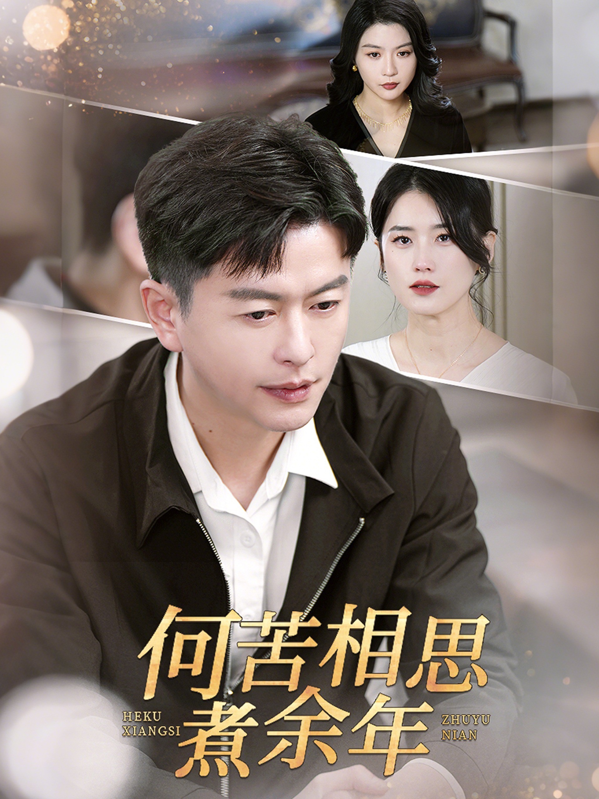 何苦相思煮余年封面图