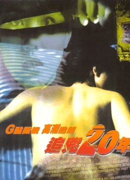 追凶20年（粤语）封面图