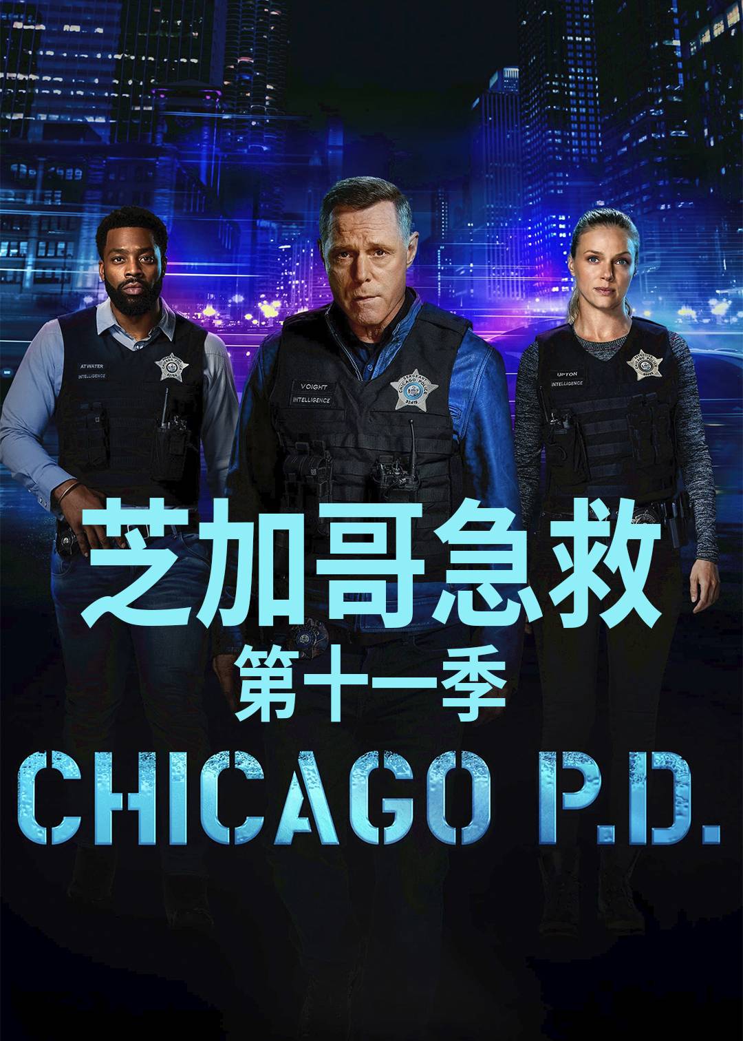 芝加哥警署第十一季封面图