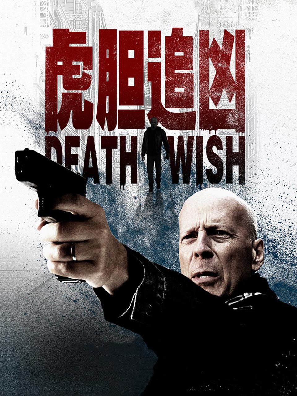 虎胆追凶封面图