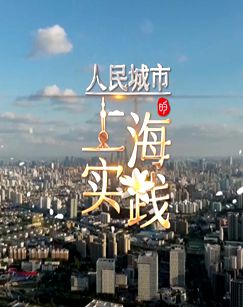 人民城市的上海实践封面图