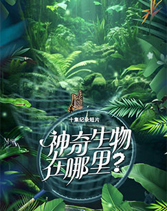 神奇生物在哪里？封面图