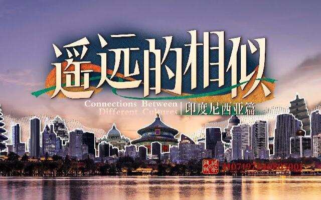 遥远的相似封面图