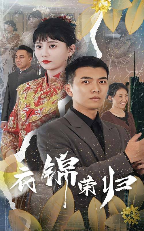 衣锦荣归封面图