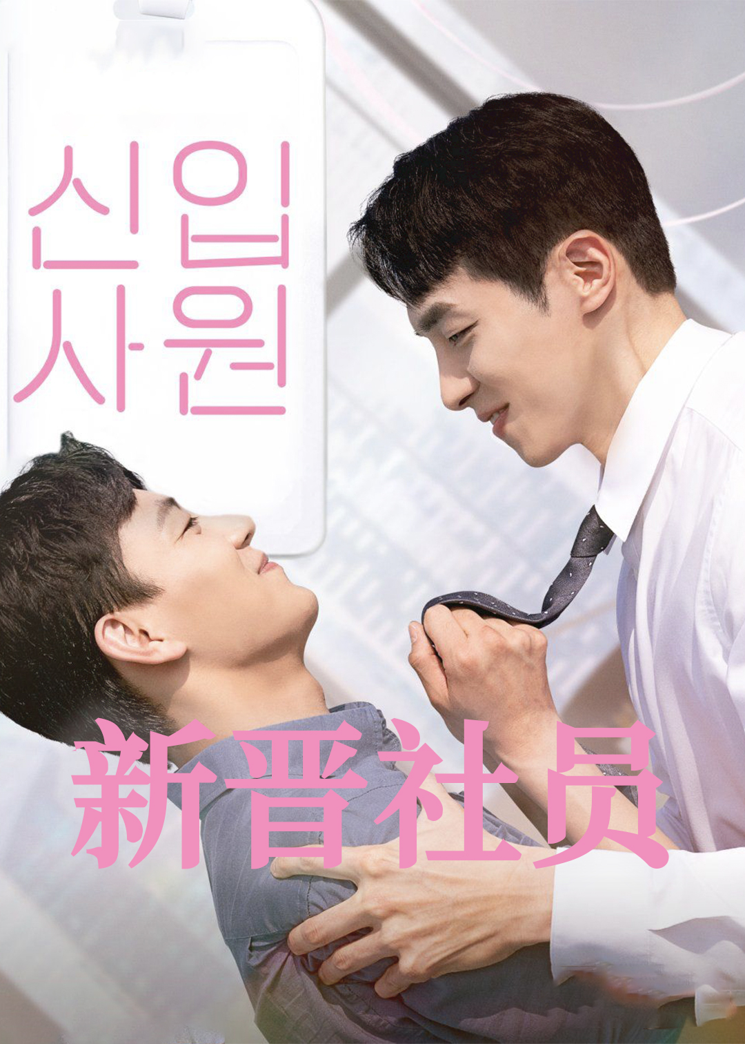 新进职员封面图