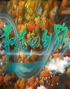 最美回乡路封面图