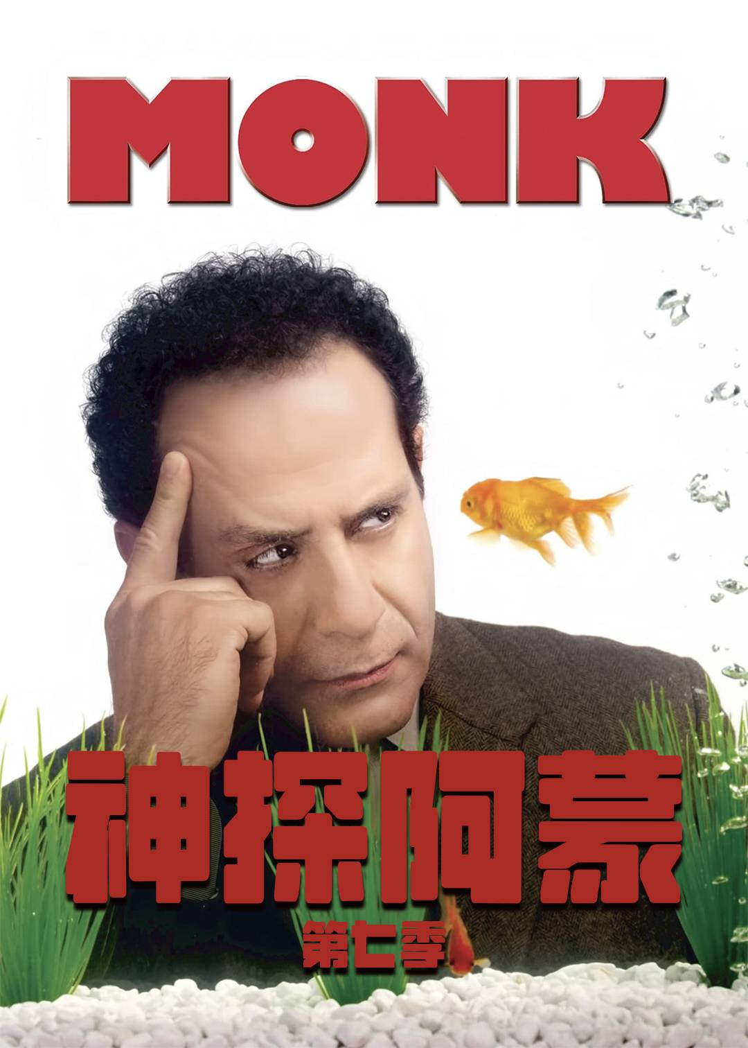 神探阿蒙第七季封面图