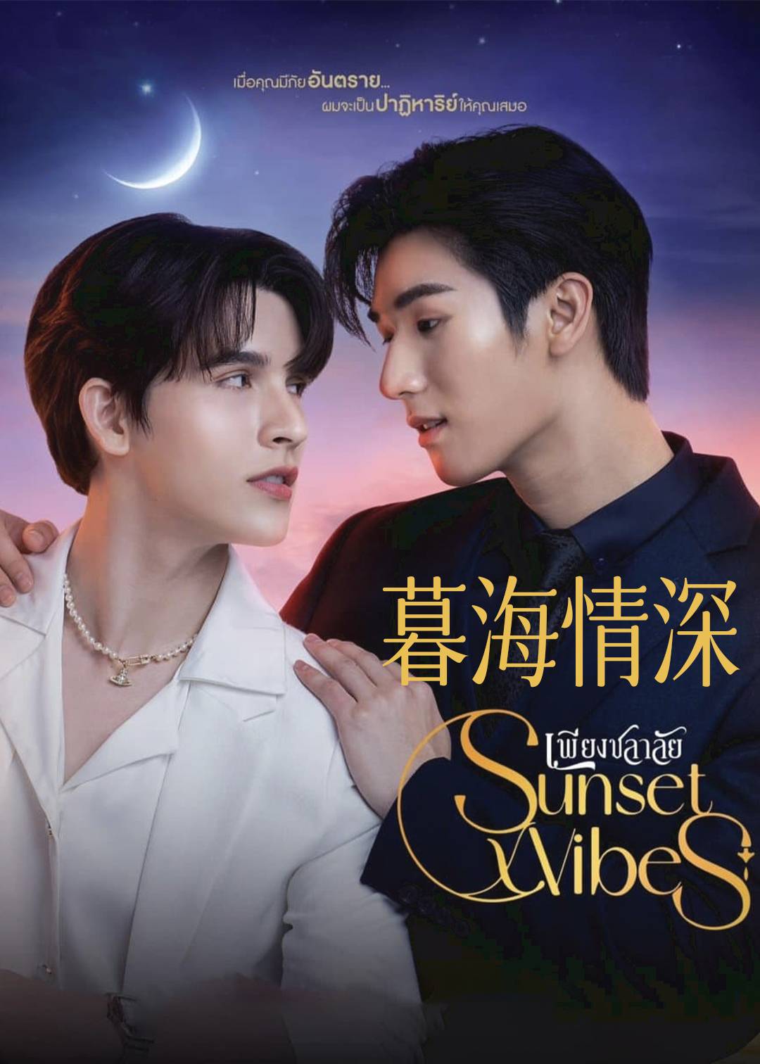 暮海情深封面图