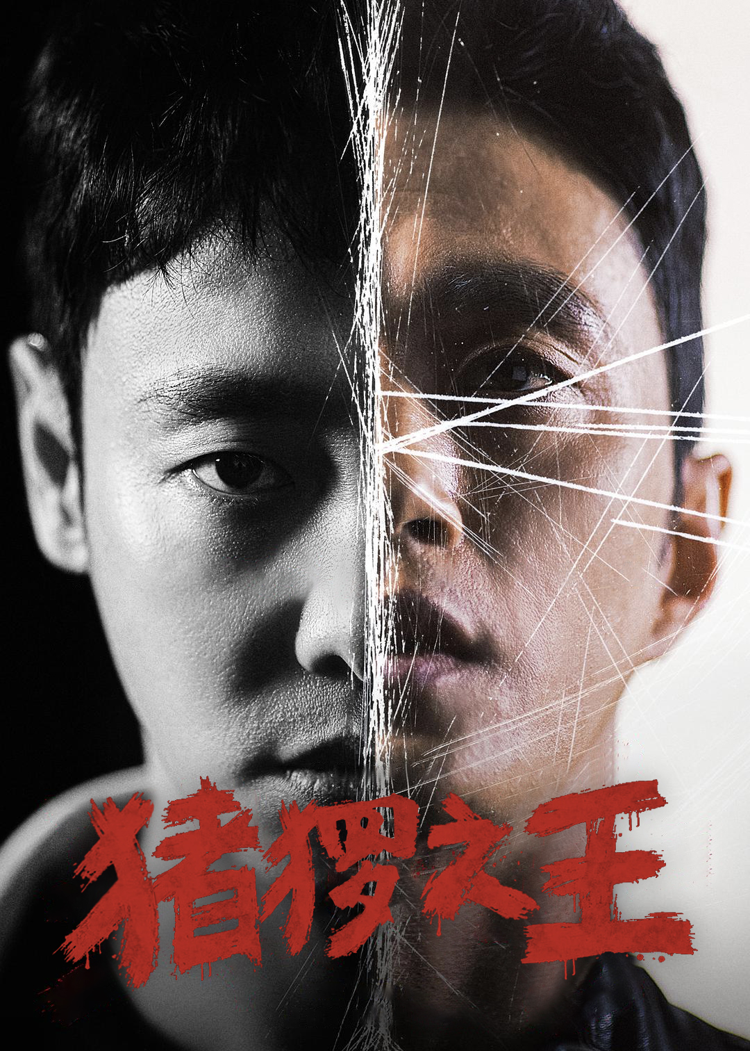 猪猡之王封面图