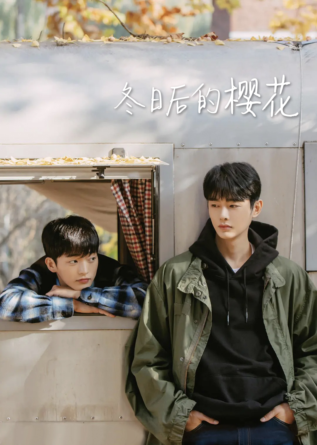 冬日后的樱花封面图