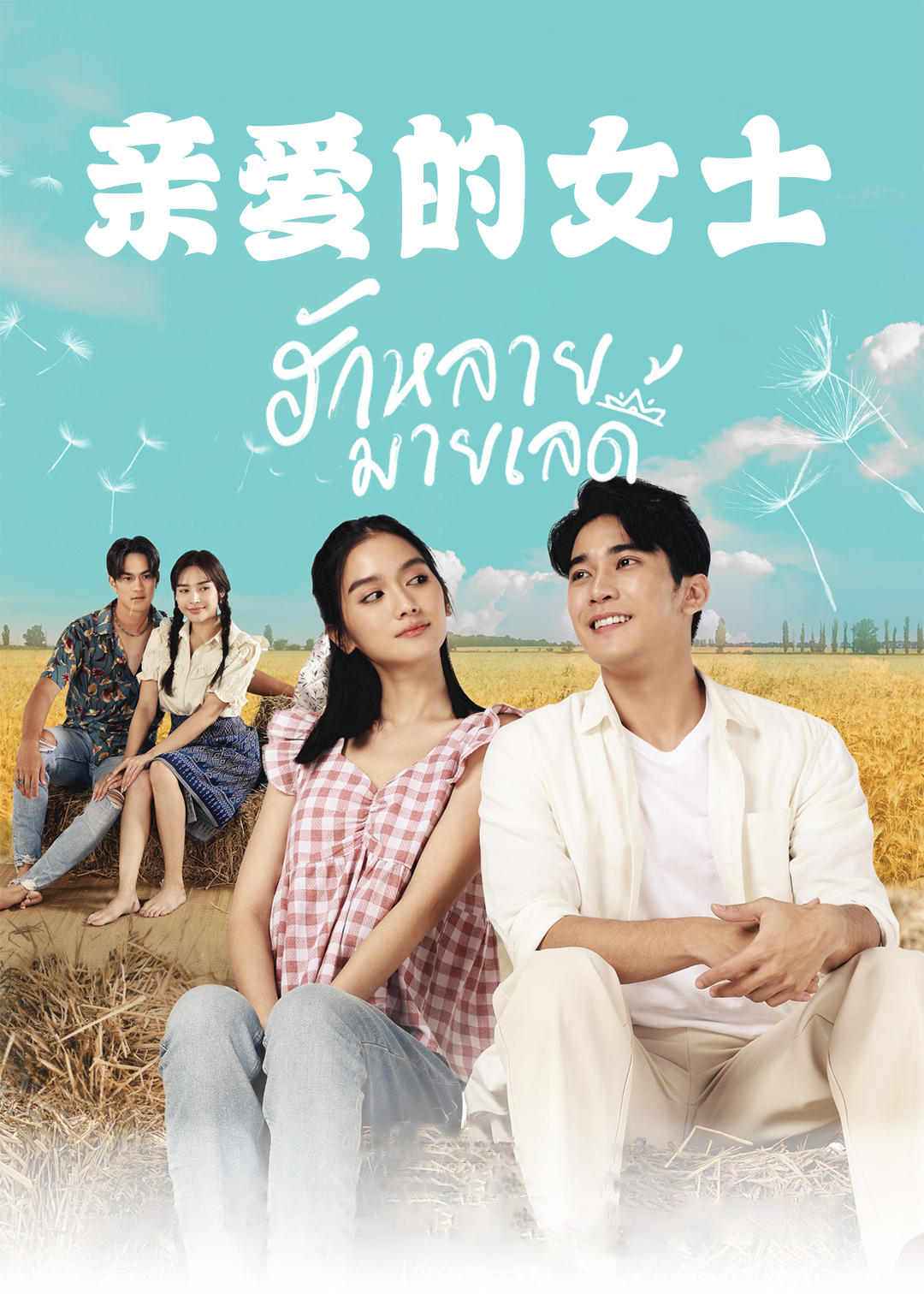 亲爱的女士封面图