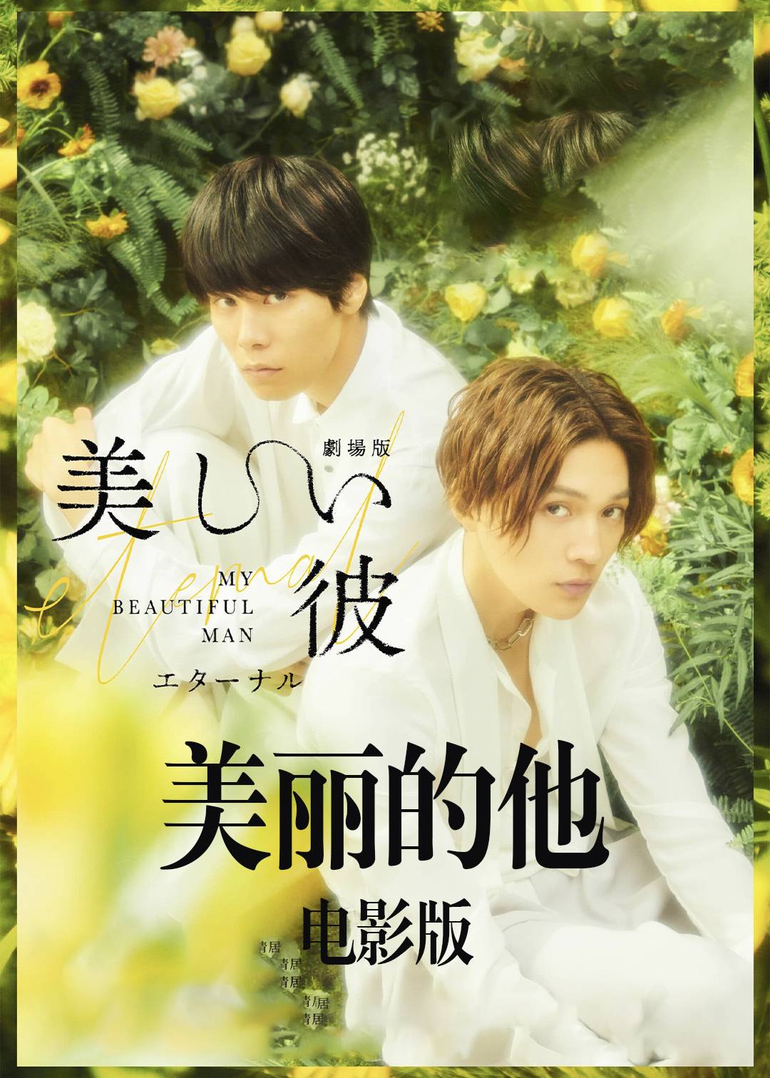 美丽的他电影版封面图
