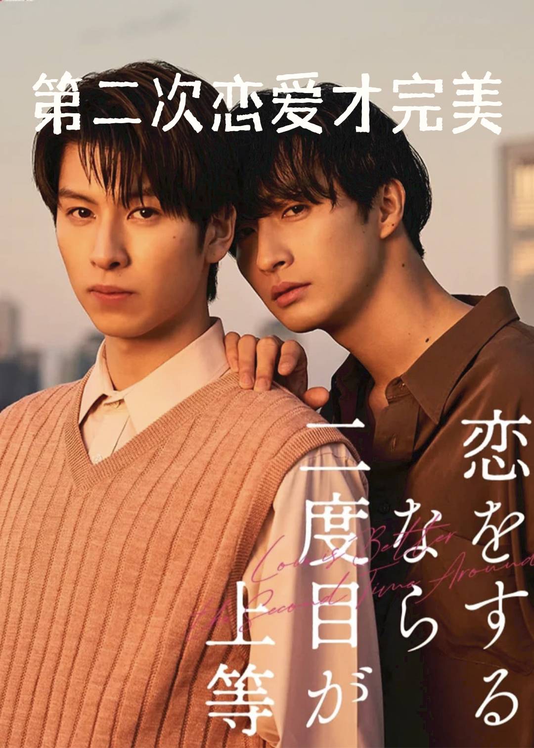 第二次恋爱才完美封面图