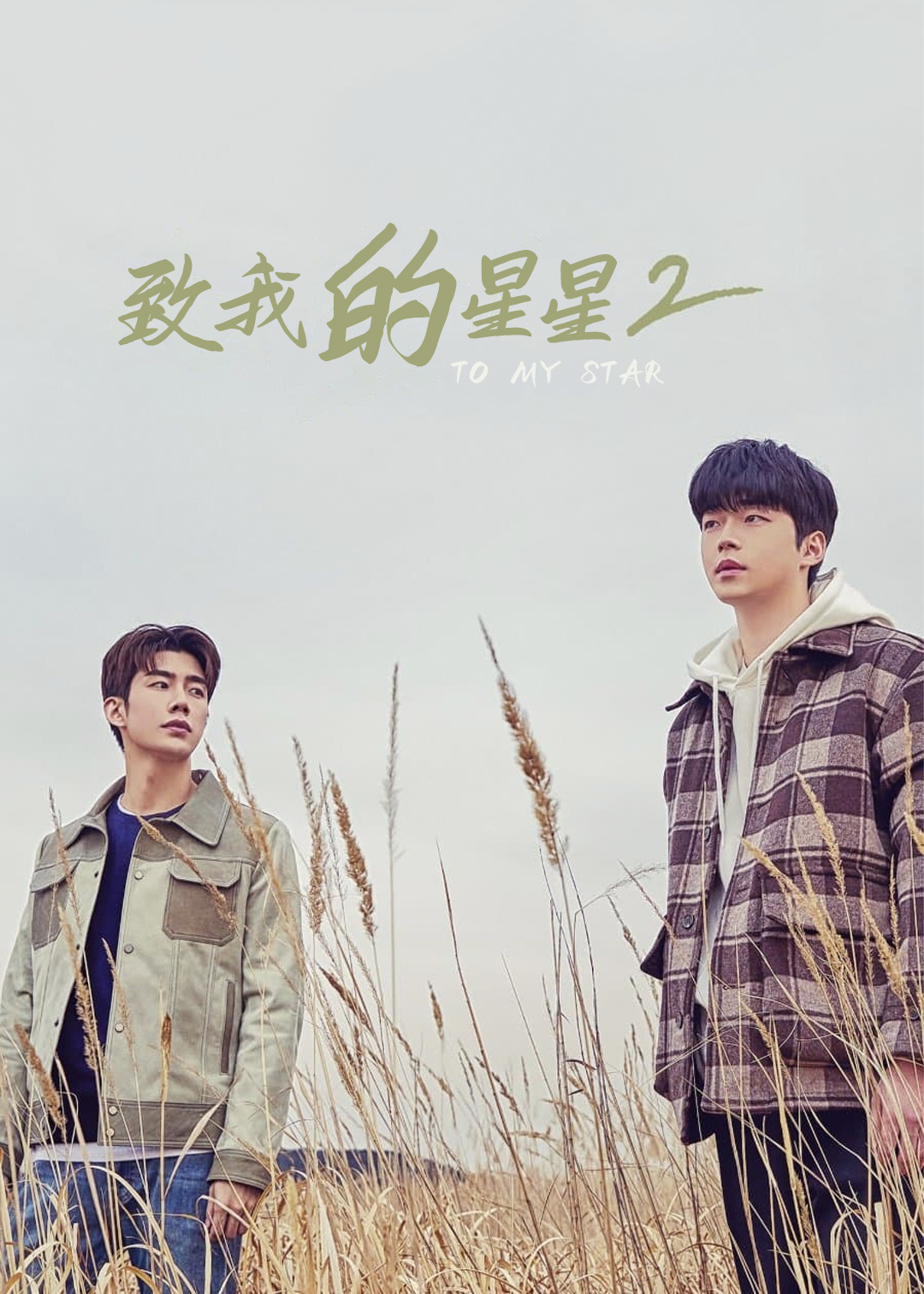 致我的星星第二季封面图