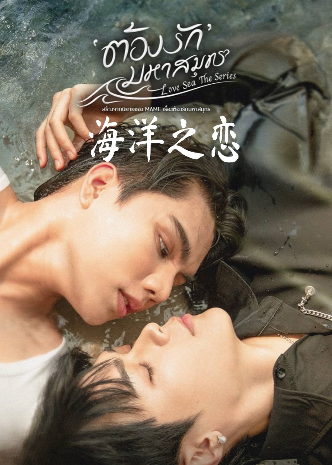 海洋之恋封面图