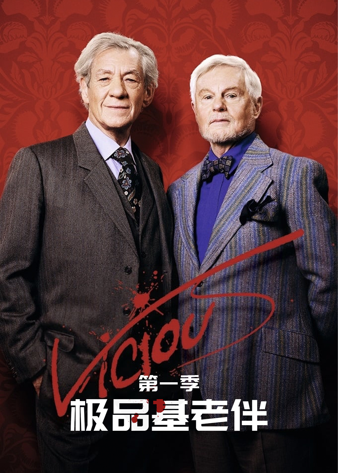 极品基老伴第一季封面图