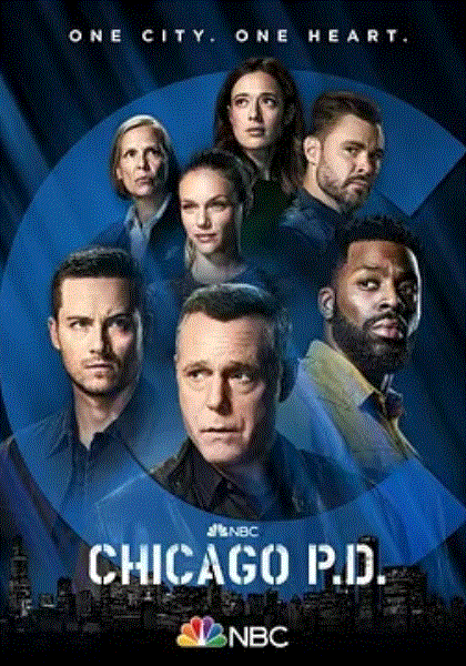 芝加哥警署第九季封面图