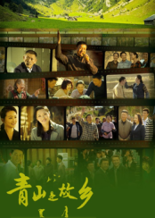 青山是故乡封面图