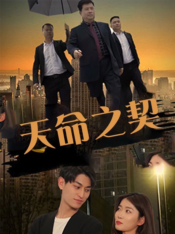 天命之契封面图