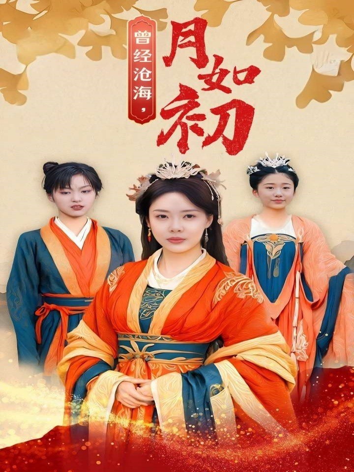 曾经沧海，月如初封面图