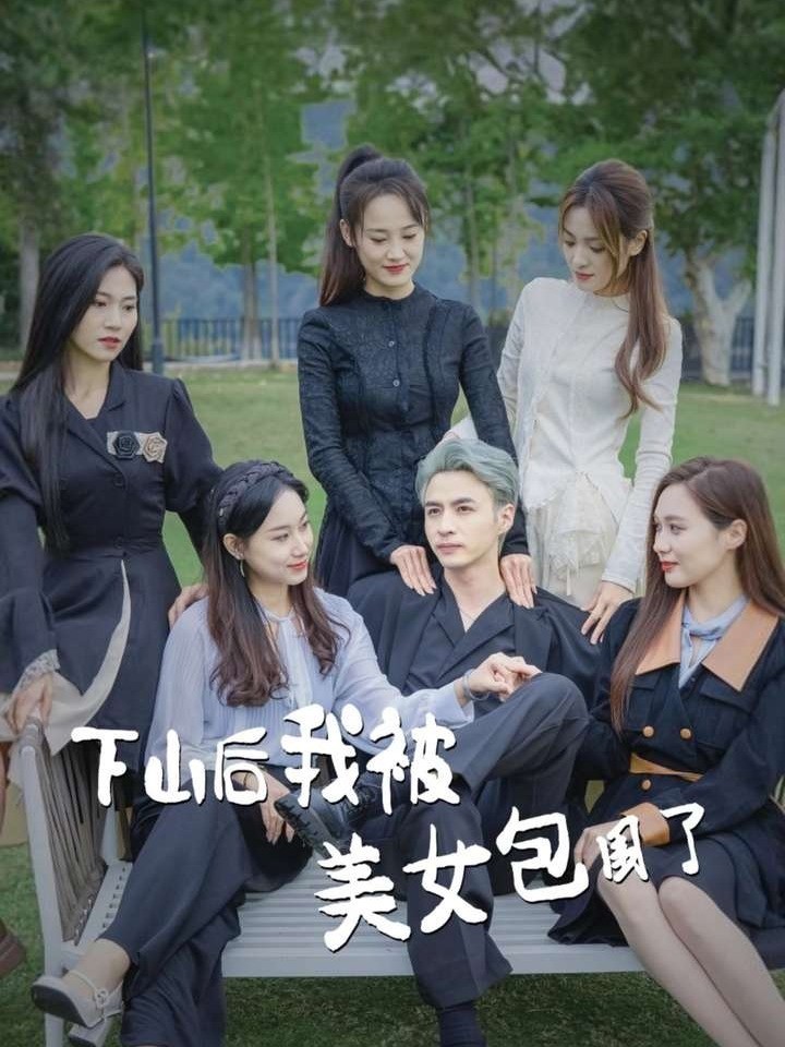 下山后我被美女包围了封面图