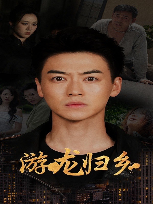 游龙归乡封面图