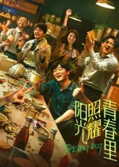 阳光照耀青春里封面图