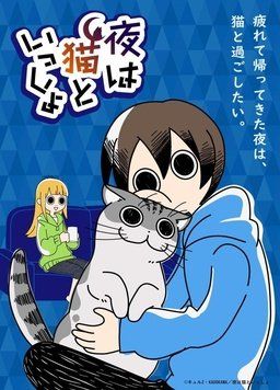 夜夜猫歌封面图
