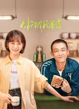 小城故事多封面图