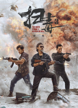 扫毒3：人在天涯封面图