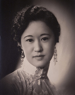 对照记：犹在镜中封面图