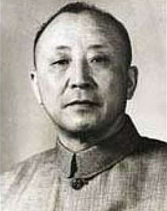 民国秘事之卫立煌封面图