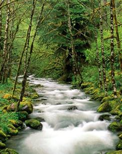生命的力量（精编版）封面图