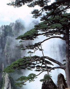 科教频道大型纪录片黄山封面图