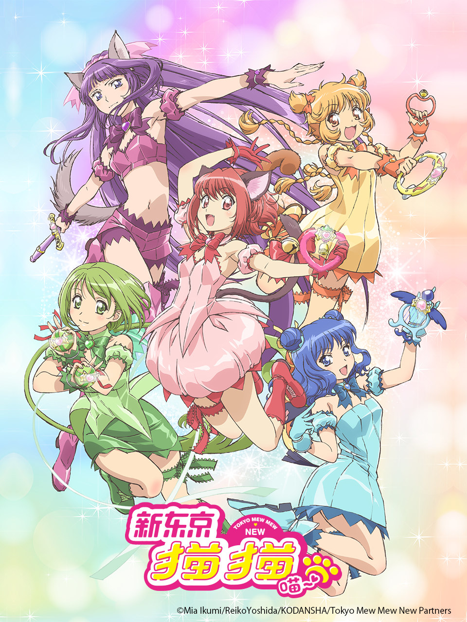 新东京猫猫封面图