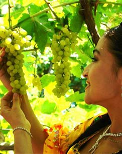 这里是新疆封面图